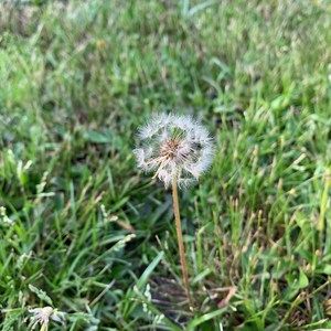 Meet your Posher, Thanh